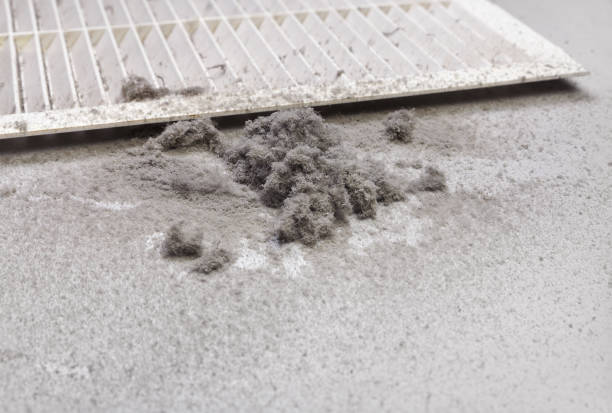 Best Air Duct Cleaning Near Me in AZ