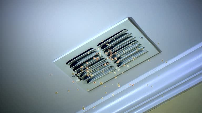 Best Professional Duct Cleaning Services  in Lake Havasu City, AZ