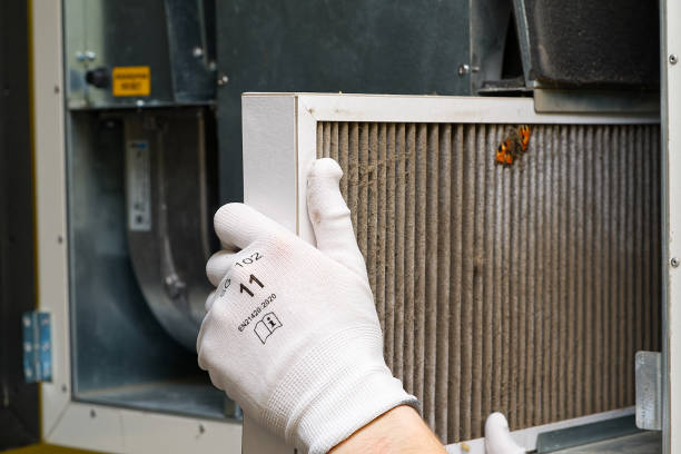 Best HVAC Air Duct Cleaning  in Lake Havasu City, AZ