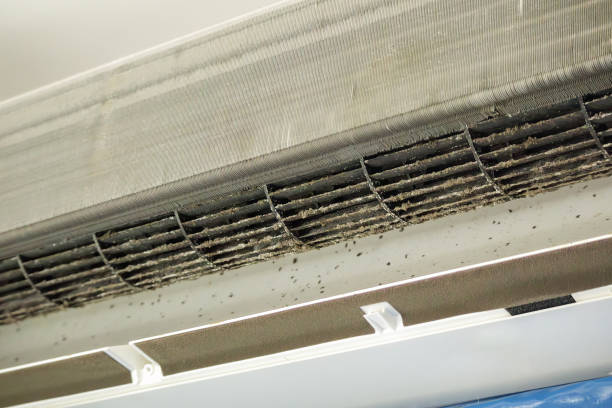 Best Air Vent Cleaning Services  in Lake Havasu City, AZ