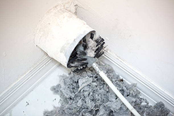 Best Air Duct Cleaning Near Me  in Lake Havasu City, AZ